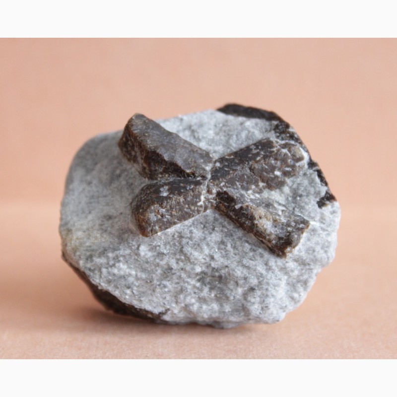Фото 7. Ставролит, двойниковый (Косой крест) и одиночный кристаллы в слюдистом сланце