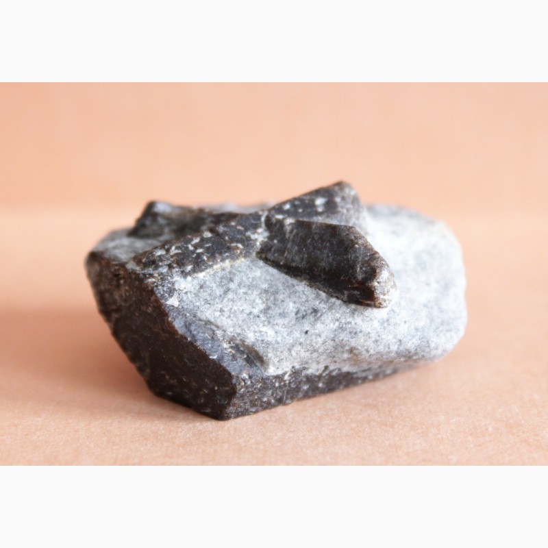 Фото 8. Ставролит, двойниковый (Косой крест) и одиночный кристаллы в слюдистом сланце