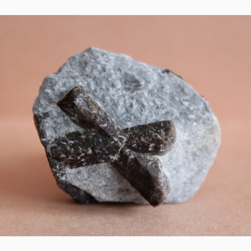 Фото 9. Ставролит, двойниковый (Косой крест) и одиночный кристаллы в слюдистом сланце