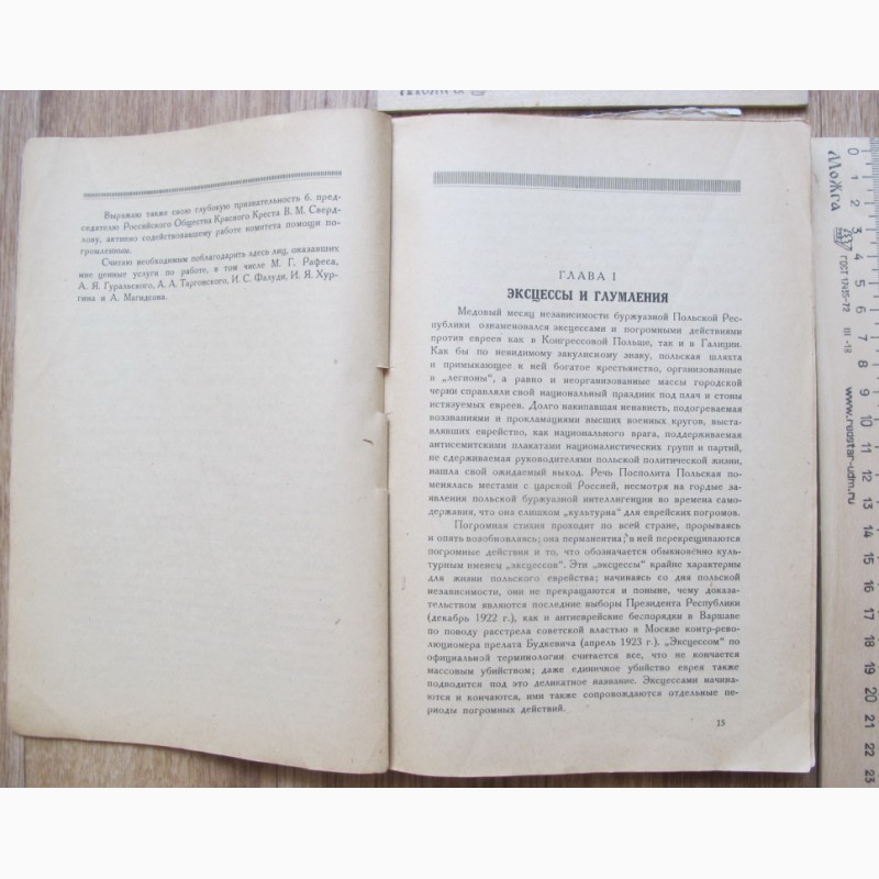 Фото 8. Книга Мировая реакция и еврейские погромы, профессор Хейфец, 1925 год