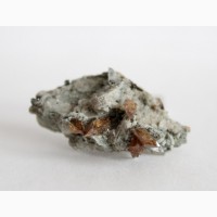 Титанит, двойниковые кристаллы на хлоритовом сланце